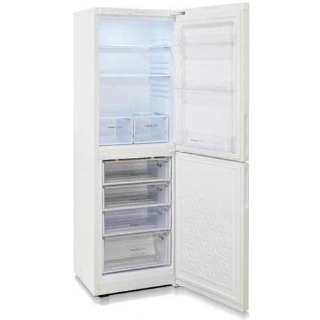 Холодильник Бирюса 6031 - фото 33068