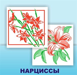 Салфетки бум. Солфи 50шт/88шт цветы, нарцисы 0425933