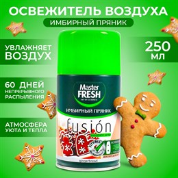 Мастер Фреш освежитель воздуха-сменный баллон для авт спрея 250мл Имбирный пряник 230063